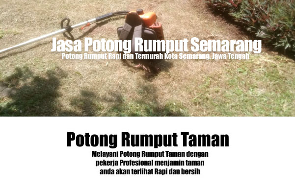 rumput 1 rumput 1
