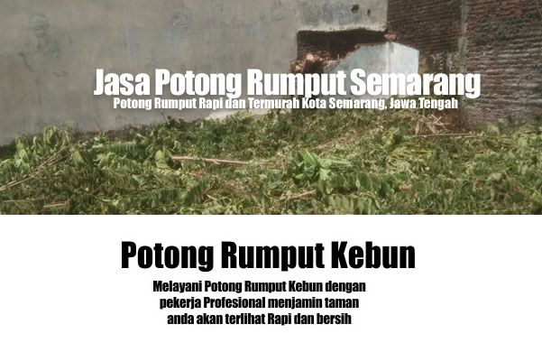 rumput 2 rumput 2