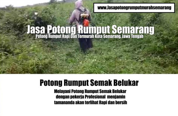 rumput 3 rumput 3