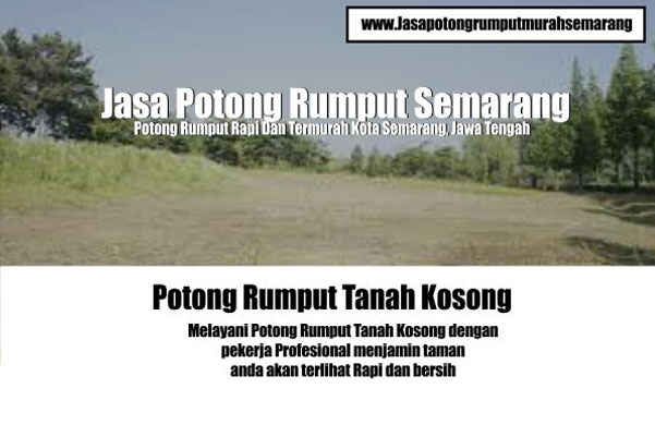 rumput 4 rumput 4